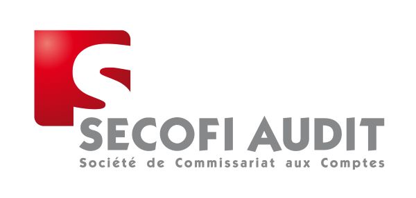 commissaire aux comptes Paris